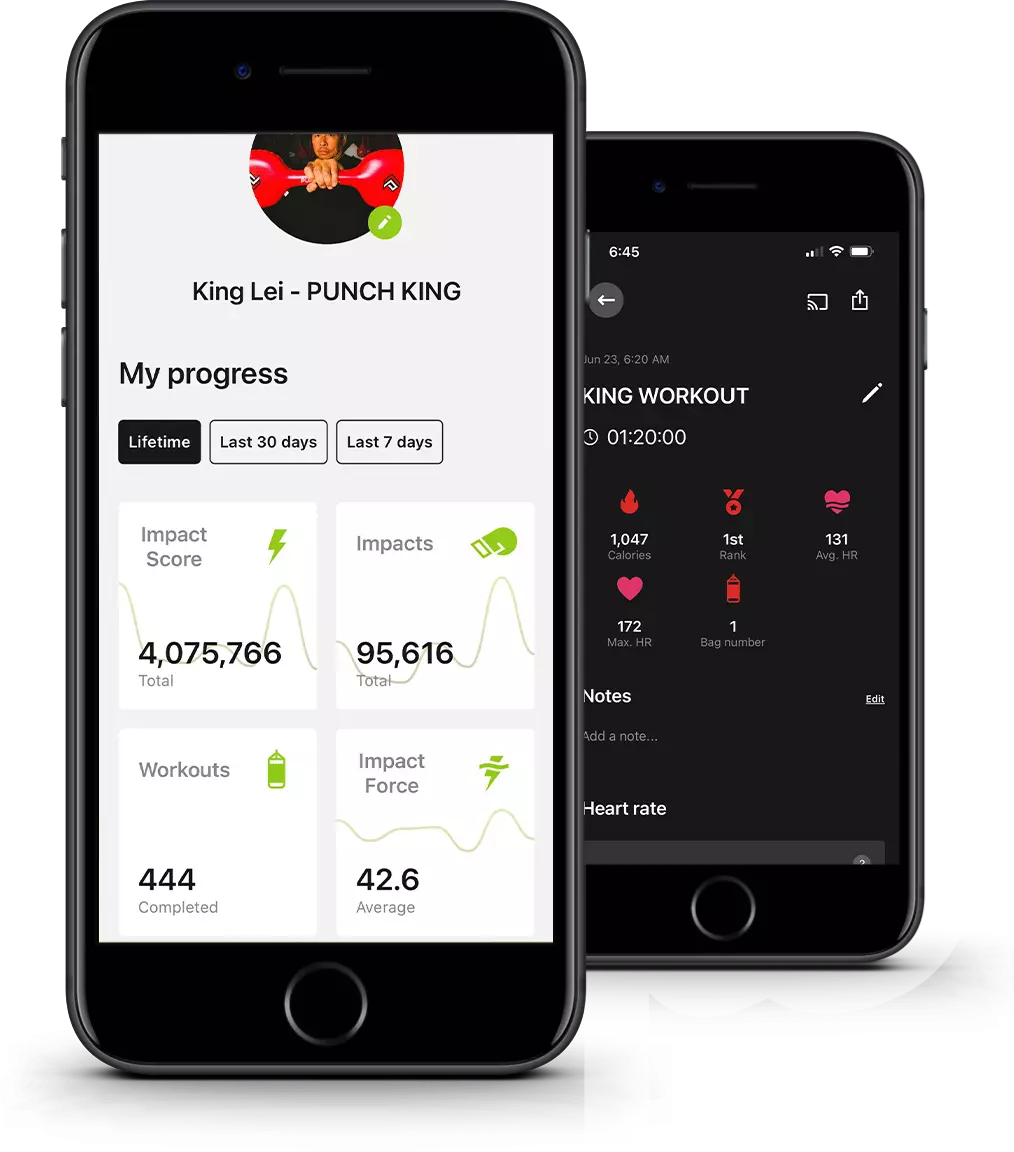 Punch King Fitness Sunset